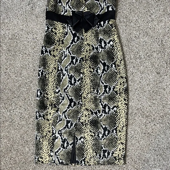 Karen Miller Snakeskin Print Sleeveless Dress Size 6 - Picture 8 of 14